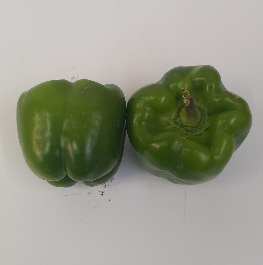 Green Pepper - Imp. Per kg@14.95 / lbs@6.783