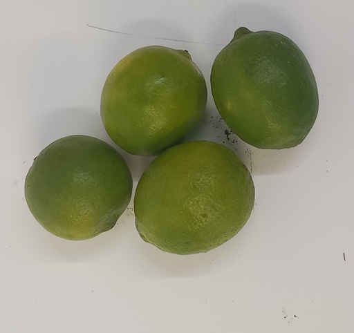 Limes