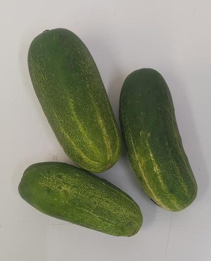 Cucumber Per kg@6.10/ lbs@2.76